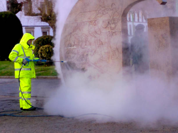Best Pressure Washing Driveway  in Lincoln, AL