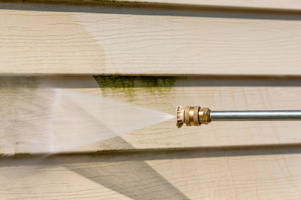 Best Roof Pressure Washing  in Lincoln, AL